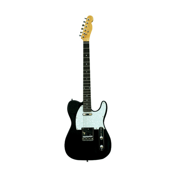 Electric Guitar RFG-310