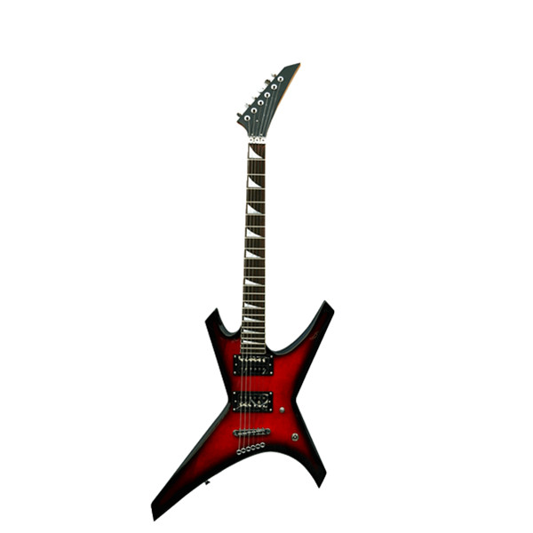  Electric Guitar RFG-313