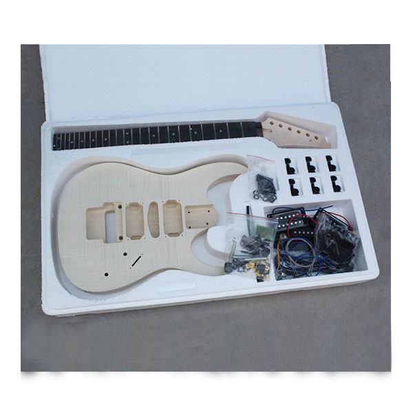  Electric Guitar RFG-501