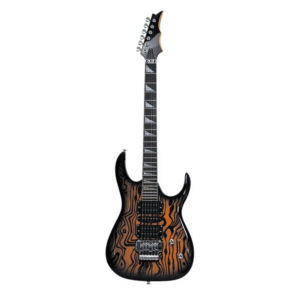  Electric Guitar RFG-204