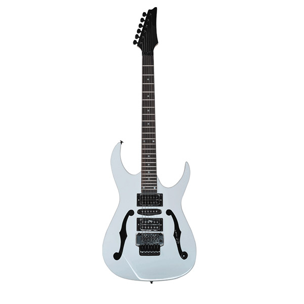  Electric Guitar RFG-208