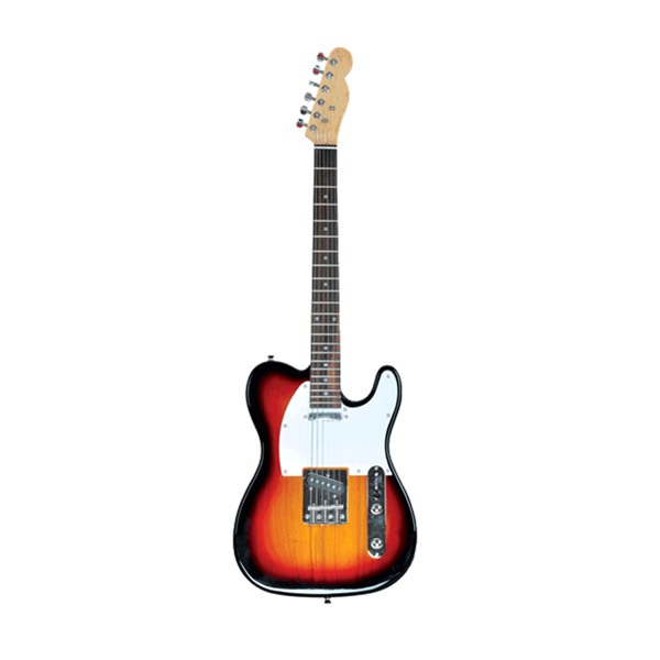  Electric Guitar RFG-309