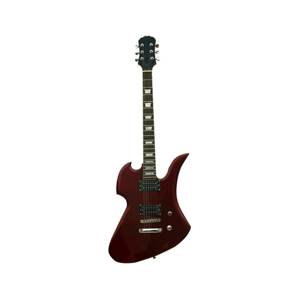  Electric Guitar RFG-315