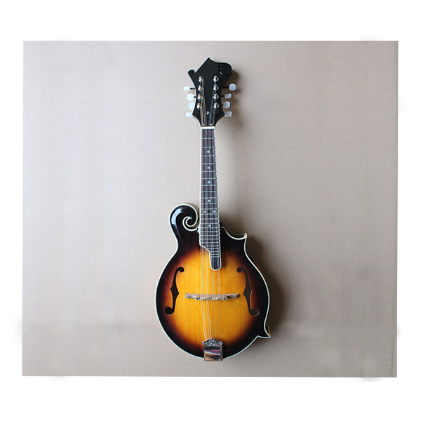   Acoustic guitar RFJ-101